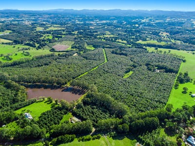 /international/au/269-sneaths-road-wollongbar-nsw-700412564/