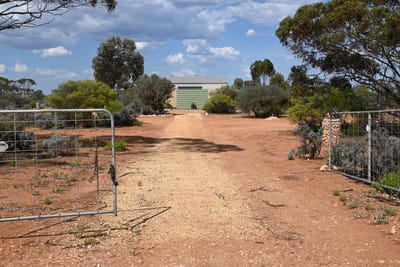 /international/au/23-petters-road-morgan-sa-204663976/