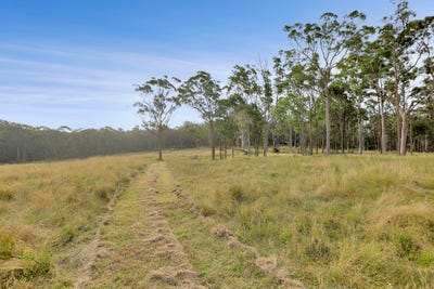 /international/au/143-bloomfield-road-jilliby-nsw-151165524/