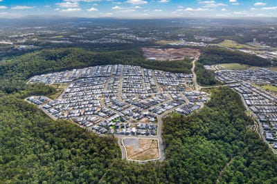 /international/au/7000-himalayan-crescent-spring-mountain-qld-505141664/
