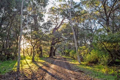 /international/au/546-boodjidup-road-redgate-wa-151585464/