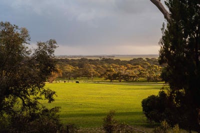 /international/au/barn-hill-565-gordon-road-meningie-east-sa-700403428/
