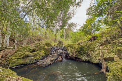 /international/au/109-oehmichen-road-witta-qld-204680900/