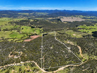 /international/au/lot-208-foggy-forest-drive-anembo-nsw-700428352/