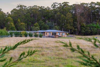 /international/au/203a-palmers-road-latrobe-tas-150999744/