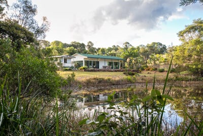 /international/au/50-firewheel-road-ringtail-creek-qld-148391888/