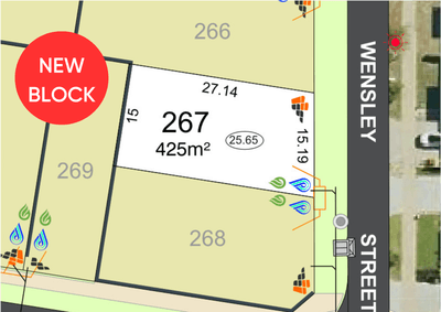 /international/au/lot-267-wensley-street-baldivis-wa-204564776/