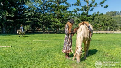 /international/au/584-the-pocket-road-the-pocket-nsw-151323092/