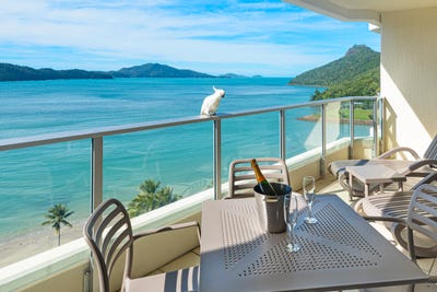 /international/au/wha-cb1203-14-resort-drive-hamilton-island-qld-151354060/