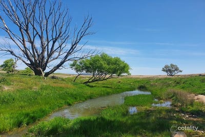 /international/au/1193-euradux-road-braidwood-nsw-700368420/?lang=en