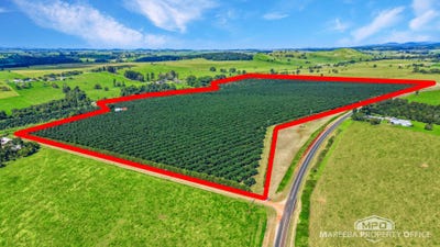 /international/au/46-hughes-road-upper-barron-qld-700410928/