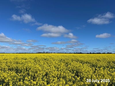 /international/au/wilgaroi-207-wilgaroi-road-bellata-nsw-504891552/?lang=zh-tw