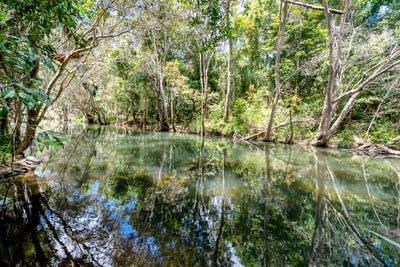 /international/au/133-cedar-park-road-koah-qld-152360088/