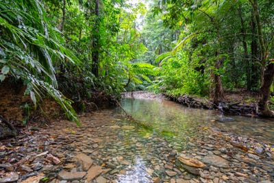 /international/au/123-ironbark-road-diwan-daintree-qld-151068592/