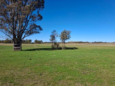/international/au/65-halls-road-talbot-vic-204238028/?lang=it