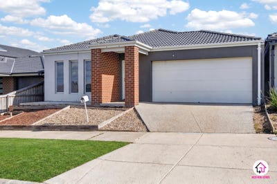 /international/au/8-spotted-harrier-st-wallan-vic-151904444/