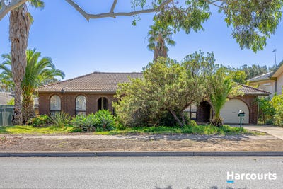 /international/au/27-day-drive-pasadena-sa-151300792/