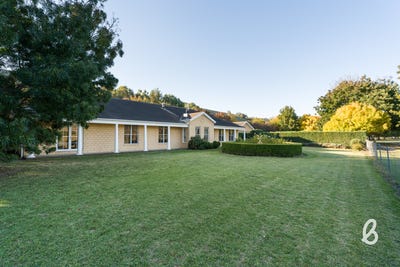 /international/au/1293-glendonbrook-road-glendon-brook-nsw-700406880/