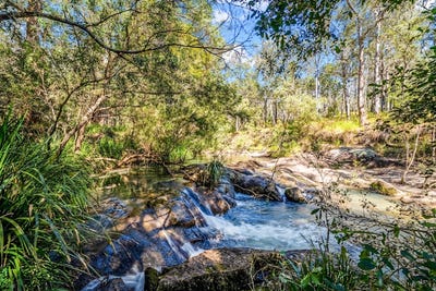 /international/au/312-rolley-road-wondecla-qld-151693460/