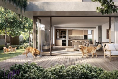 /international/au/113-115-chomley-street-prahran-vic-151374300/