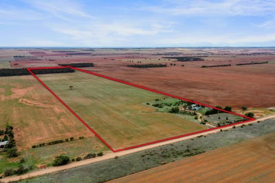 /international/au/538-stock-route-road-robertstown-sa-700368868/?lang=zh-tw