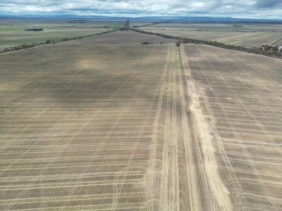 /international/au/a2-bute-road-willamulka-sa-700401456/