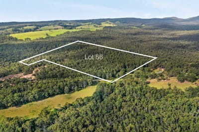 /international/au/200-mimosa-park-road-woodburn-nsw-700408232/