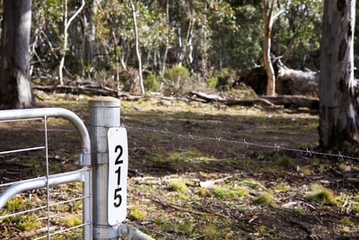 /international/au/215-golden-age-road-grosses-plain-nsw-204682852/