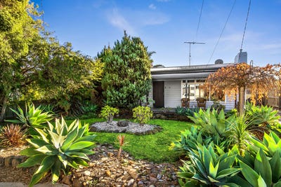 /international/au/36-pavo-street-belmont-vic-151459280/