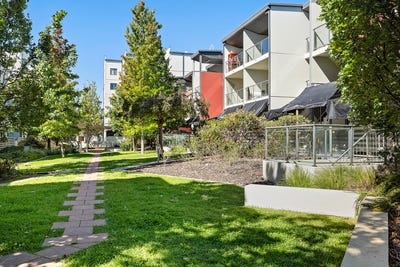 /international/au/36-21-battye-street-bruce-act-150926060/
