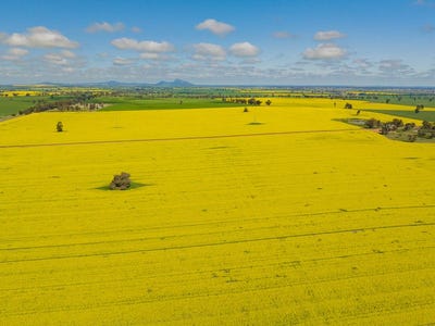 /international/au/posey-point-smiths-road-collingullie-nsw-700267168/?lang=id