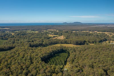 /international/au/137-browns-road-barraganyatti-nsw-700312816/