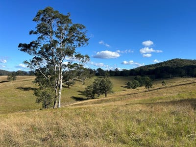 /international/au/lot-80-of-449-hickeys-creek-road-millbank-nsw-700411444/