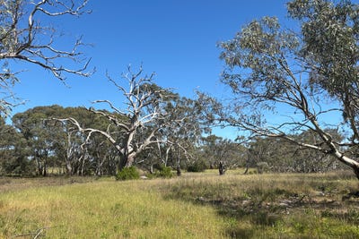 /international/au/9-flinders-highway-wangary-sa-700427668/