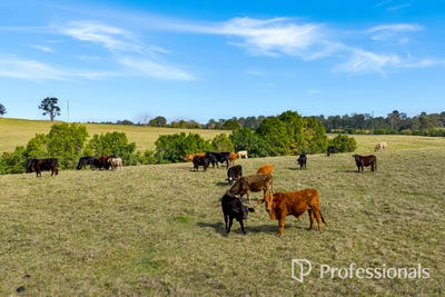 /international/au/122-fitzpatrick-road-the-dawn-qld-204632040/