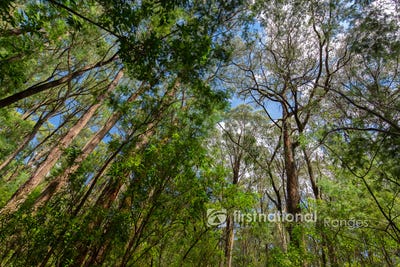 /international/au/2780-gembrook-launching-place-road-gembrook-vic-204186448/?lang=zh-tw