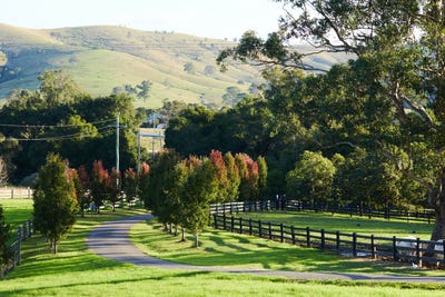 /international/au/564-chichester-dam-road-bendolba-via-dungog-nsw-148274296/