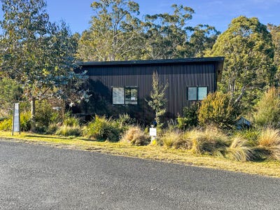 /international/au/29-irish-town-road-st-marys-tas-148571044/