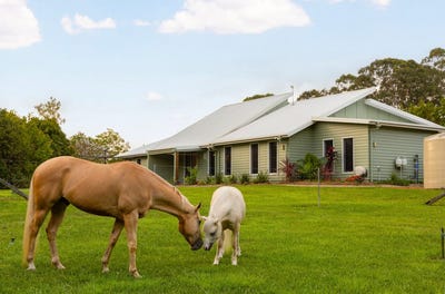 /international/au/48-hamilton-close-mooloolah-valley-qld-151487888/
