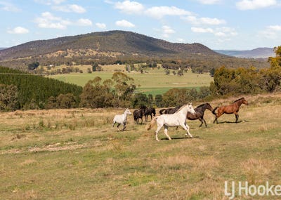 /international/au/2899-great-western-highway-meadow-flat-nsw-700403184/