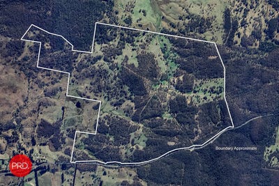 /international/au/3578-kings-highway-bungendore-nsw-700399640/