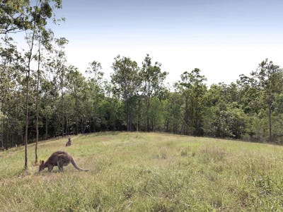 /international/au/27-york-street-mount-crosby-qld-204529012/