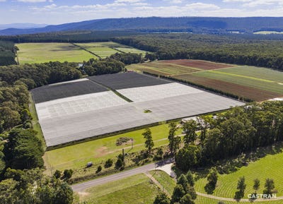 /international/au/1363-whittlesea-yea-road-kinglake-west-vic-505116120/