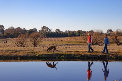 /international/au/-bluebell-park-15-bluebell-lane-murrumbateman-nsw-148574536/?lang=zh-cn