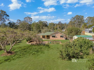 /international/au/74-saddleback-dve-dayboro-qld-152253484/