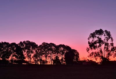 /international/au/2011-davys-plains-road-cargo-via-orange-nsw-150735804/