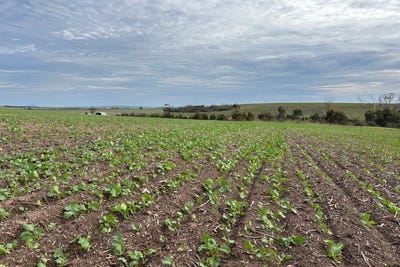 /international/au/164-cockaleechie-road-cockaleechie-sa-700412512/