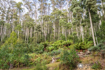 /international/au/2-500-resolution-rd-adventure-bay-tas-204536428/