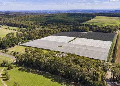 /international/au/1363-whittlesea-yea-road-kinglake-west-vic-700404756/
