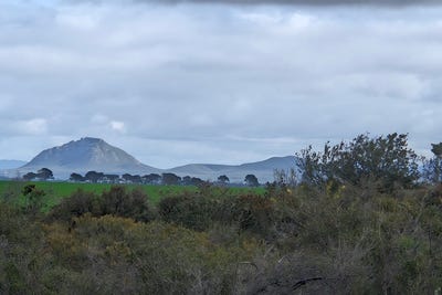 /international/au/109-orchid-road-hopetoun-wa-204566280/